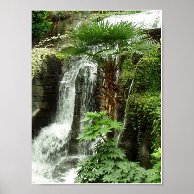 waterfall poster (Front)