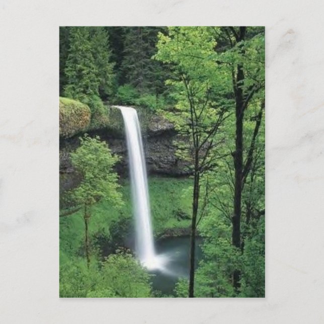 Waterfall surrounded by lush greens postcard (Front)