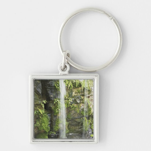 Waterfall, Temperate rainforest, New Zealand. Key Ring (Front)