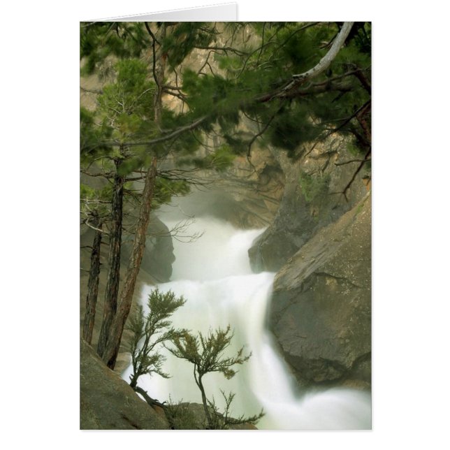 Waterfalls (Front)