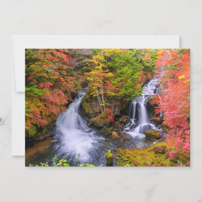 Waterfalls | Faucet Waterfalls Nikko Japan Fall Thank You Card (Front)