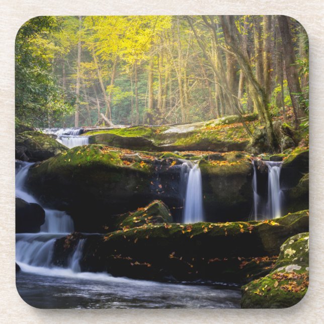 Waterfalls | Great Smoky Mountain National Park Coaster (Front)