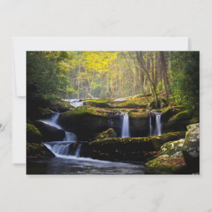 Waterfalls   Great Smoky Mountain National Park Thank You Card
