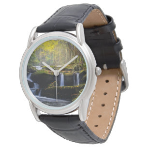 Waterfalls   Great Smoky Mountain National Park Watch