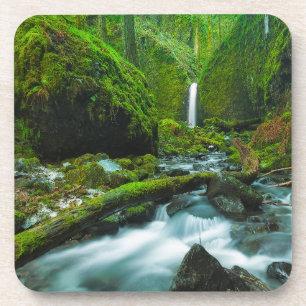 Waterfalls Grotto Falls, Oregon Coaster
