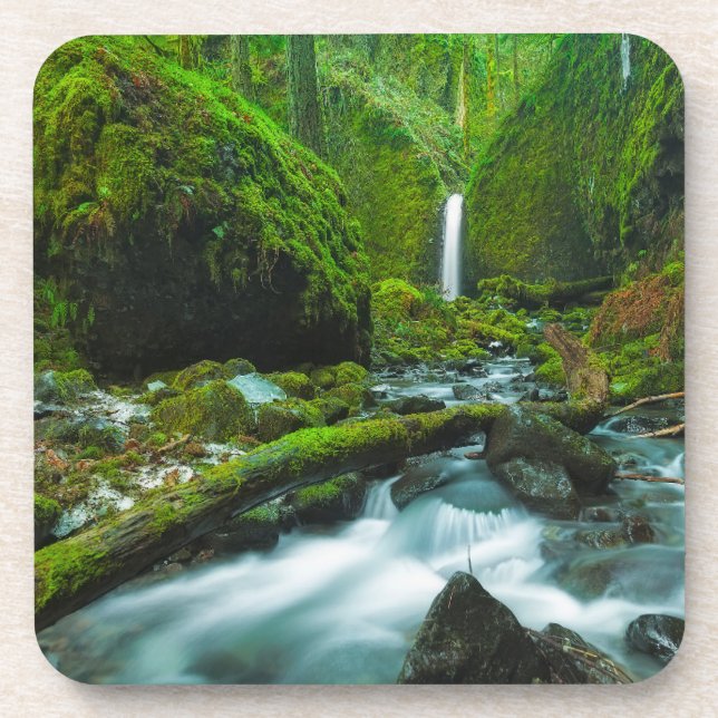 Waterfalls | Grotto Falls, Oregon Coaster (Front)