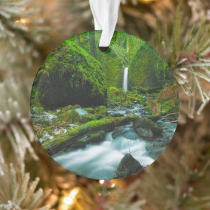 Waterfalls   Grotto Falls, Oregon Ornament
