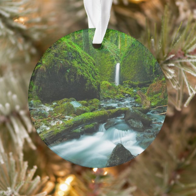 Waterfalls | Grotto Falls, Oregon Ornament (Tree)