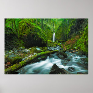 Waterfalls   Grotto Falls, Oregon Poster
