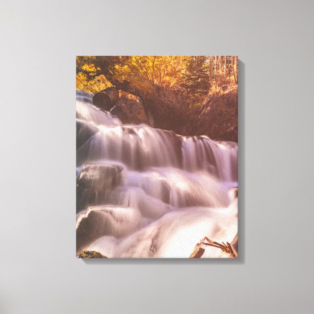 Waterfalls in Forest  Canvas Print (Front)