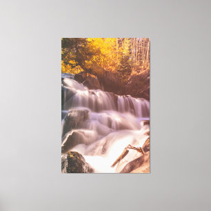 Waterfalls in Forest  Canvas Print