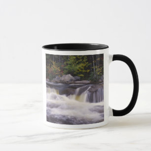 Waterfalls, Kancamagus Highway, White Mug