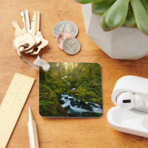 Waterfalls   Olympic National Park, Washington Key Ring