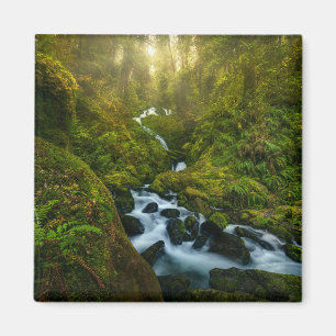 Waterfalls   Olympic National Park, Washington Magnet