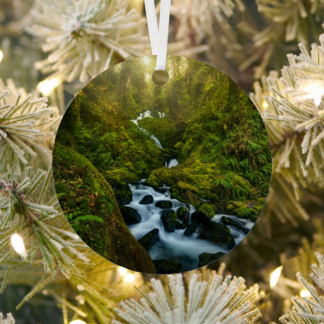 Waterfalls | Olympic National Park, Washington Metal Tree Decoration (Insitu)