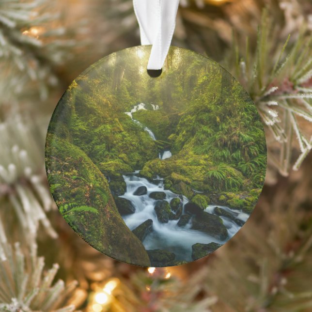 Waterfalls | Olympic National Park, Washington Ornament (Tree)