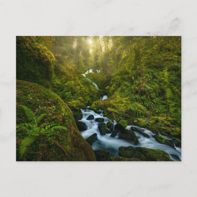 Waterfalls | Olympic National Park, Washington Postcard (Front)