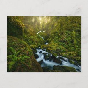 Waterfalls   Olympic National Park, Washington Postcard