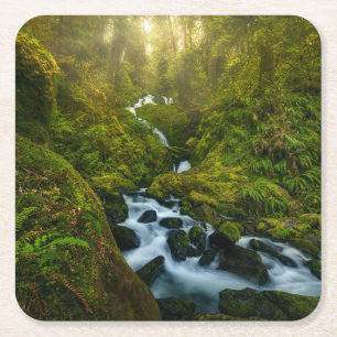 Waterfalls Olympic National Park, Washington Square Paper Coaster