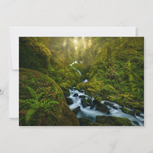 Waterfalls   Olympic National Park, Washington Thank You Card