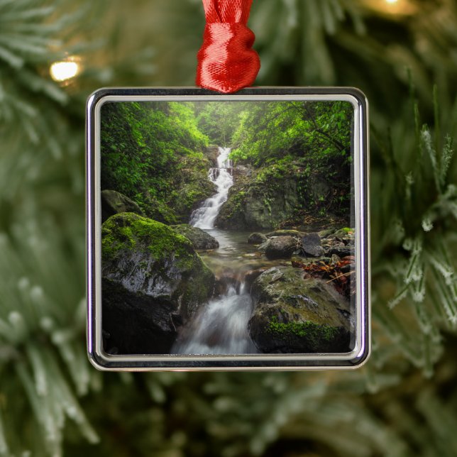 Waterfalls | Phayao Mountain National Park Metal Tree Decoration (Tree)