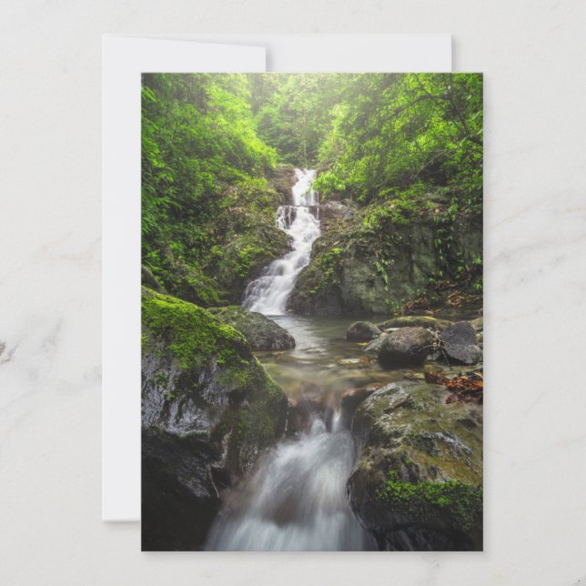 Waterfalls | Phayao Mountain National Park Thank You Card (Front)