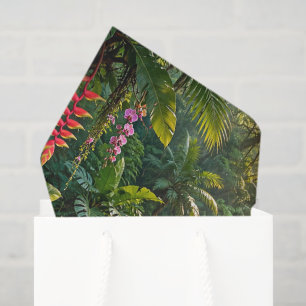 Waterfalls Rainbow Hummingbirds Tropical Hideaway Tissue Paper