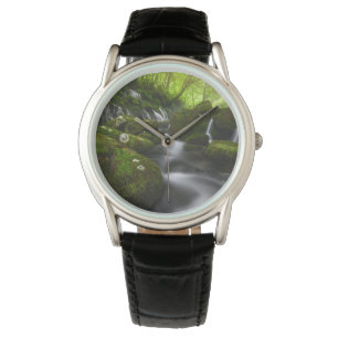 Waterfalls   Satoyama Kisakata Waterfalls Watch