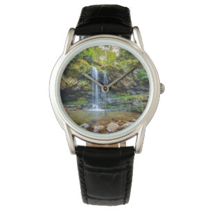 Waterfalls Smokey Mountain National Park Watch