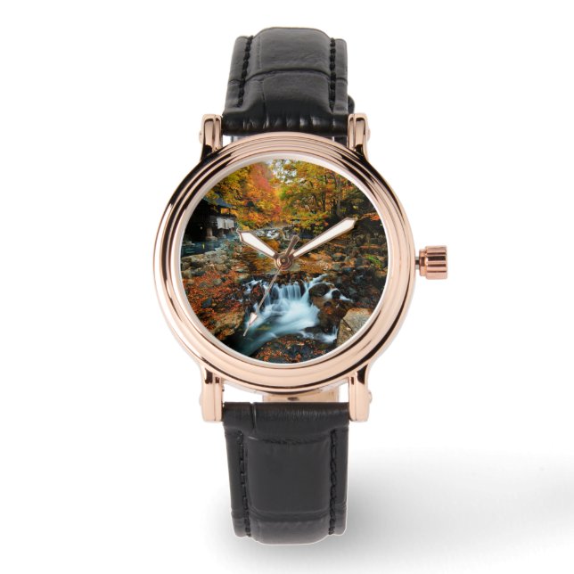 Waterfalls | Takaragawa Onsen Osenkaku, Japan Watch (Front)