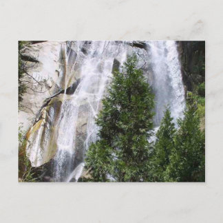 Waterfalls Trees Postcard
