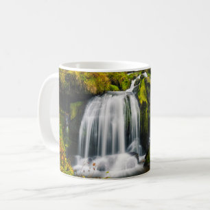 Waterfalls   Triberg Waterfalls, Germany Coffee Mug