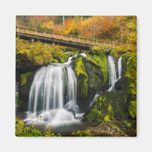 Waterfalls Triberg Waterfalls, Germany Magnet