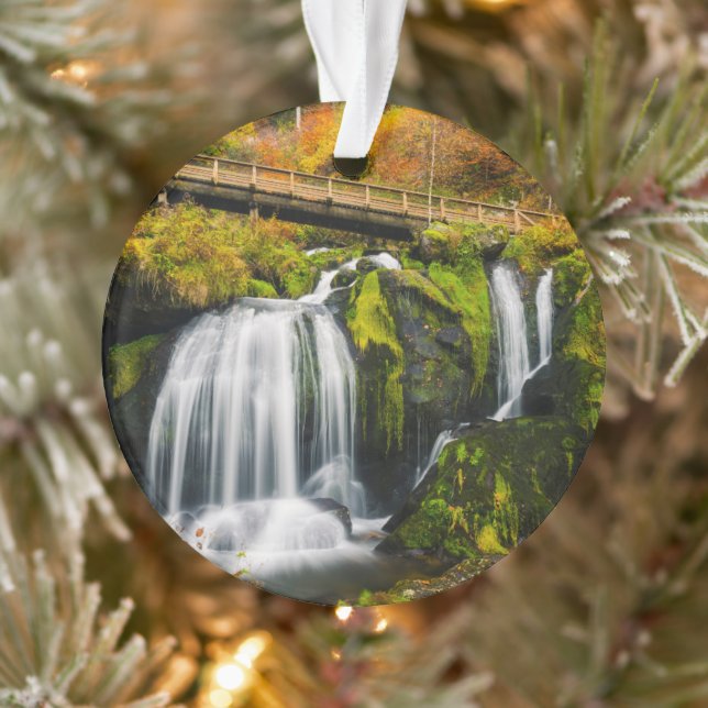 Waterfalls | Triberg Waterfalls, Germany Ornament (Tree)
