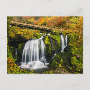 Waterfalls   Triberg Waterfalls, Germany Postcard