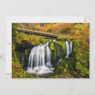 Waterfalls Triberg Waterfalls, Germany Thank You Card