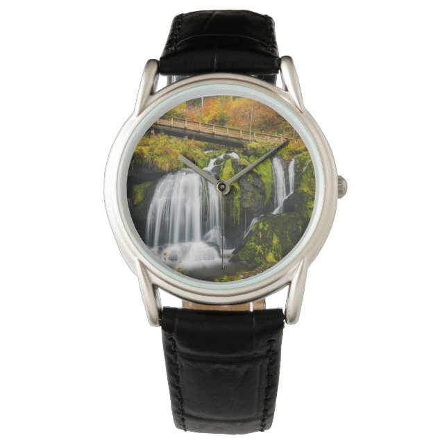 Waterfalls | Triberg Waterfalls, Germany Watch (Front)