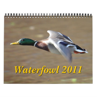 Waterfowl 2011 Calendar