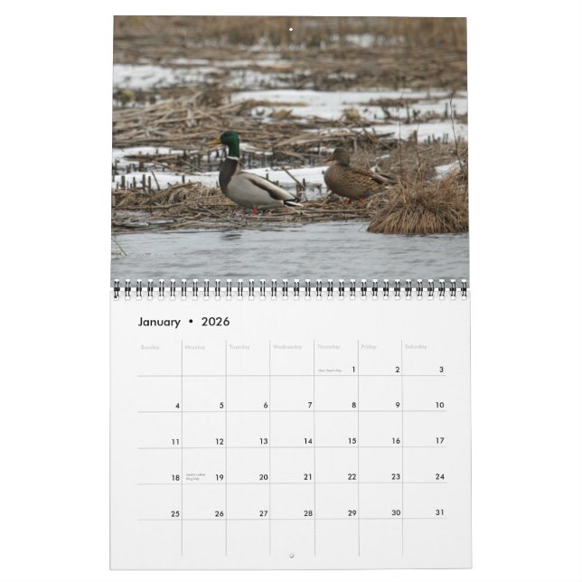 Waterfowl 2011 Calendar (Jan 2026)