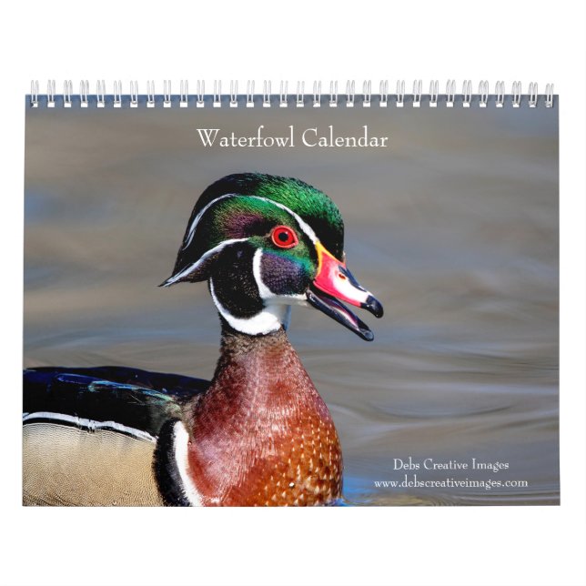 Waterfowl 2026 calendar (Cover)
