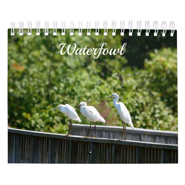 Waterfowl Calendar (Cover)
