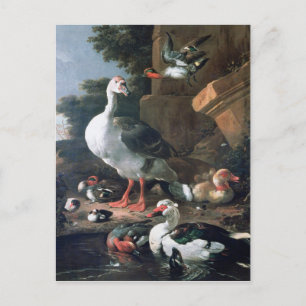 Waterfowl in a classical landscape, 17th century postcard