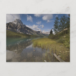 Waterfowl lake along the Icefields parkway, Postcard