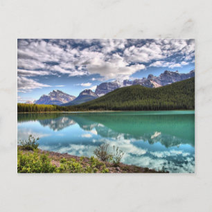 Waterfowl Lake Banff National Park Postcard