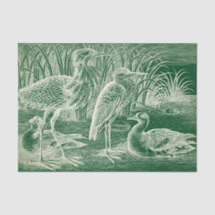 Waterfowl Tissue Paper