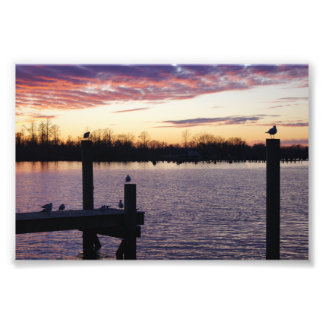Waterfront Photo Print