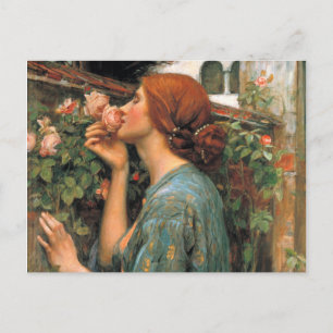 Waterhouse: Smell of Roses Postcard