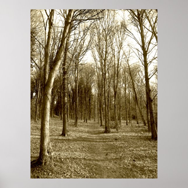 Waterhouses Wood Poster (Front)