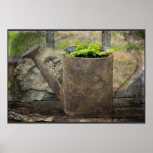 Watering Can Poster