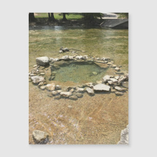 Watering Hole Magnet